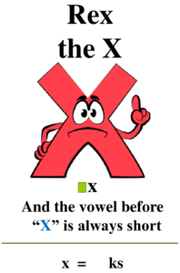 rex the x
